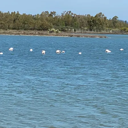 Il Nido Πανσιόν 4*